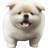 chunky_dog